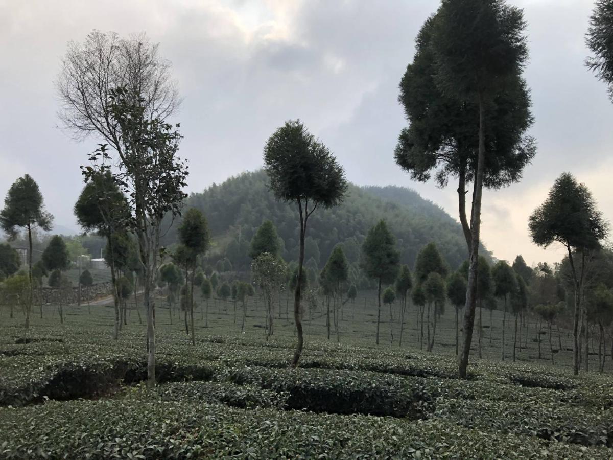 悟 佐茶 Satori Tea Villa Leye Bagian luar foto