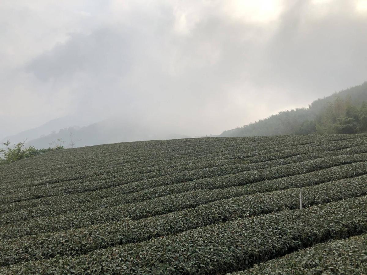 悟 佐茶 Satori Tea Villa Leye Bagian luar foto